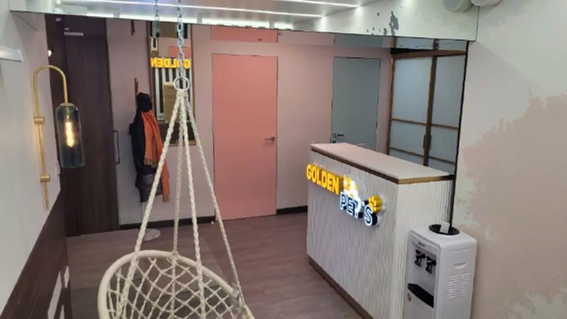 Зоотакси для кошек и собак: груминг для тех, кто экономит время